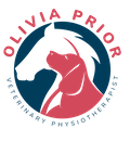opvetphysio