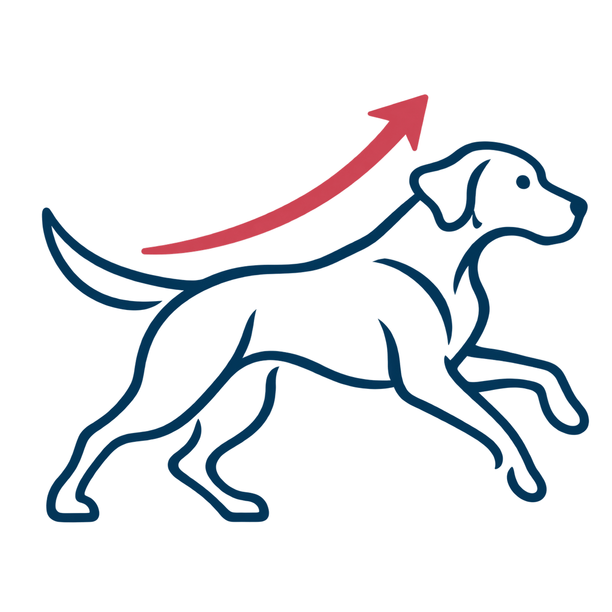 Home Page Canine Strength And Motion