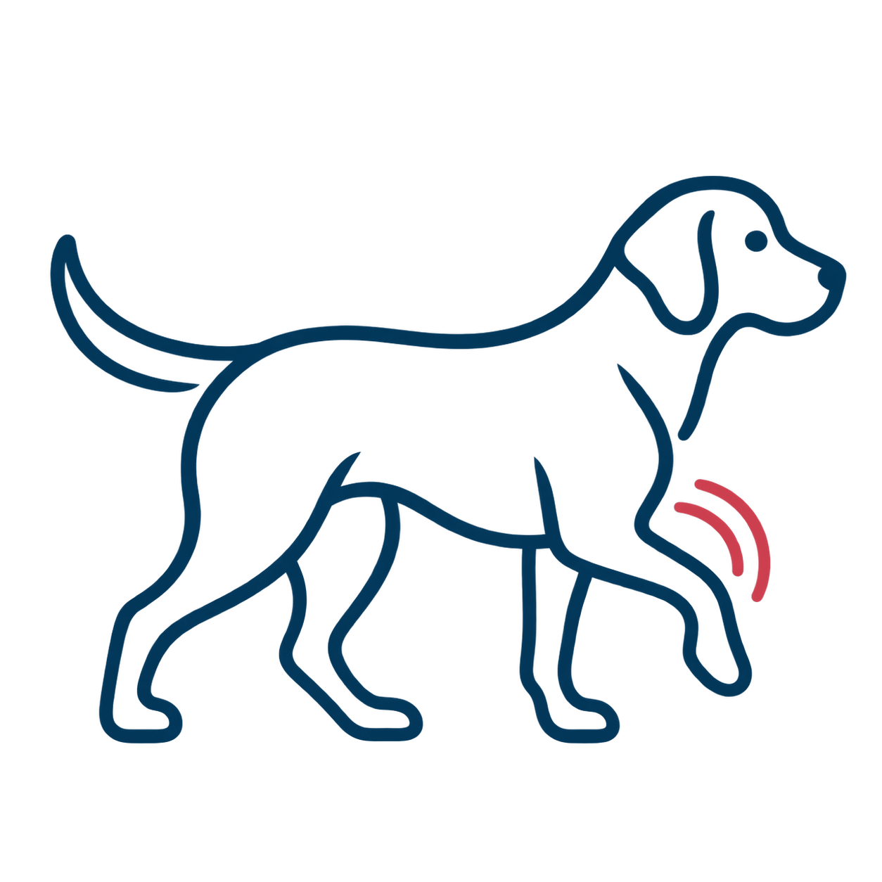 Home Page Canine Comfort Mobility