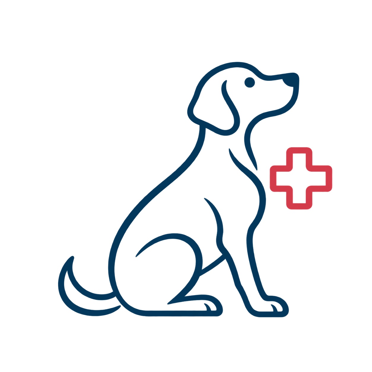 Home Page Canine Recovery Rehabilitation
