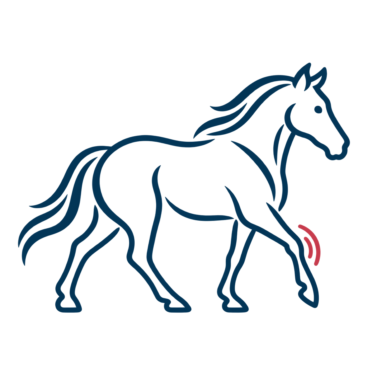 Home Page Equine Comfort Mobility