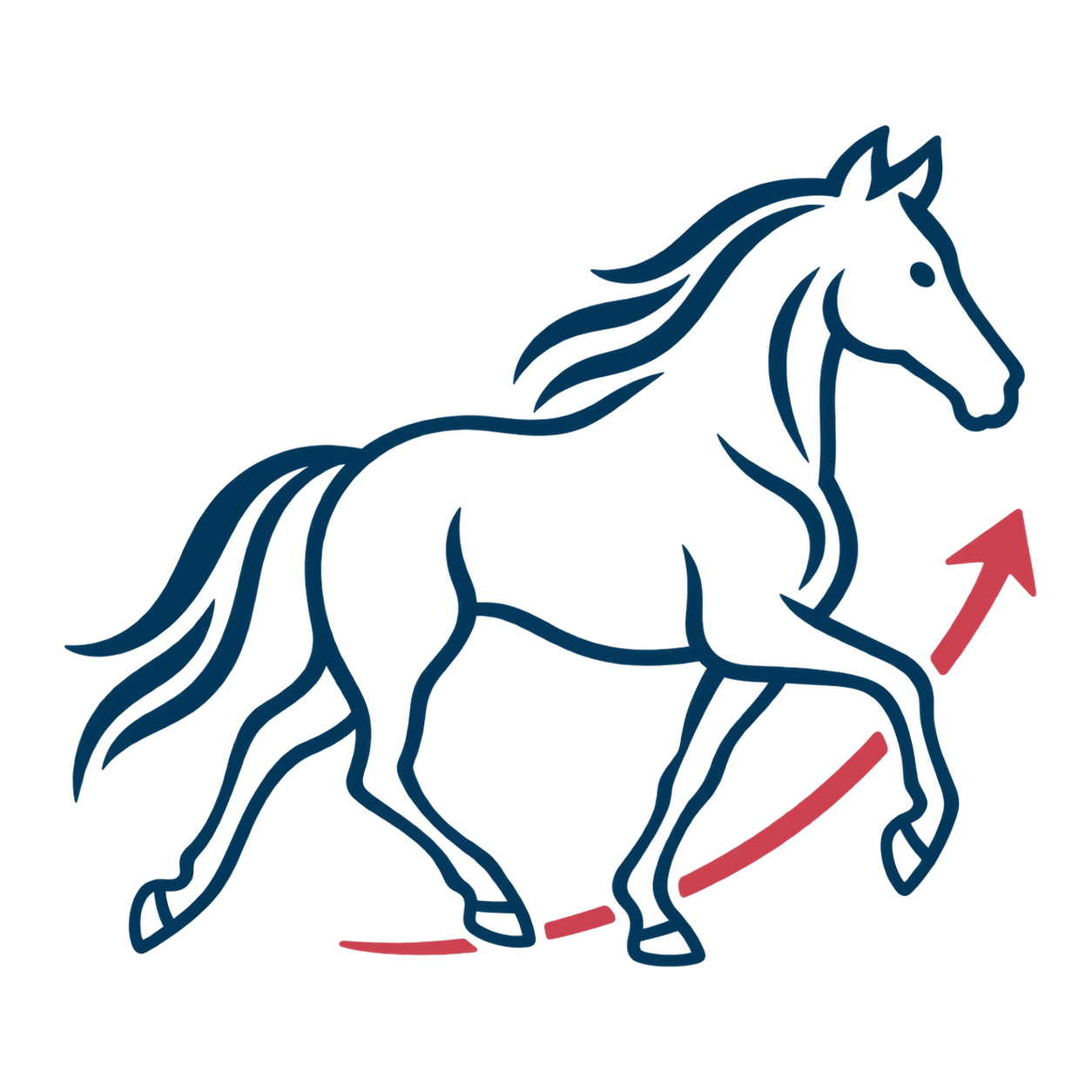 Home Page Equine Performance Conditioning