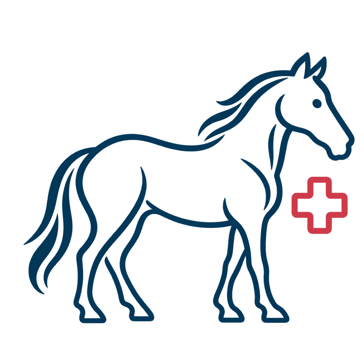 Home Page Equine Recovery Rehabilitation