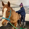 Home Olivia Prior Veterinary Physiotherapist place picture